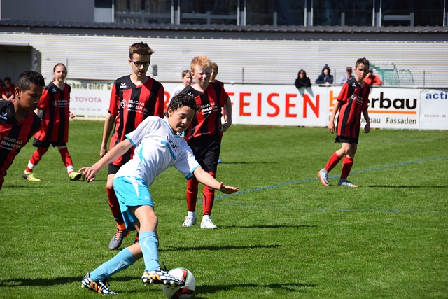 本文将通过 本文将通过