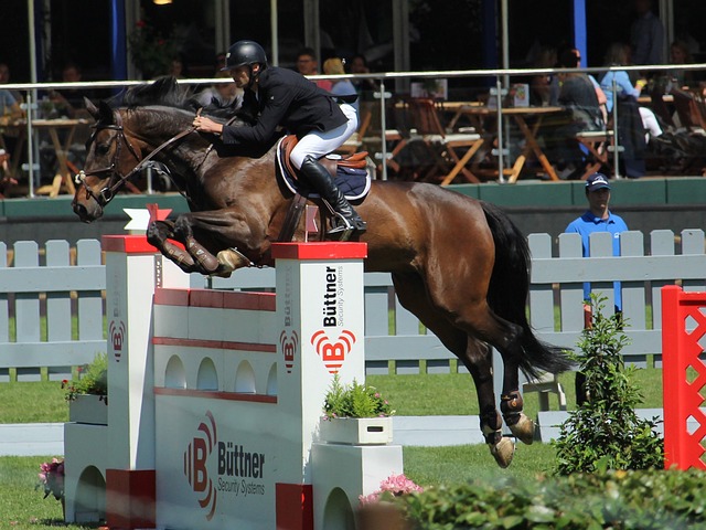 后赛中的表 后赛中的表