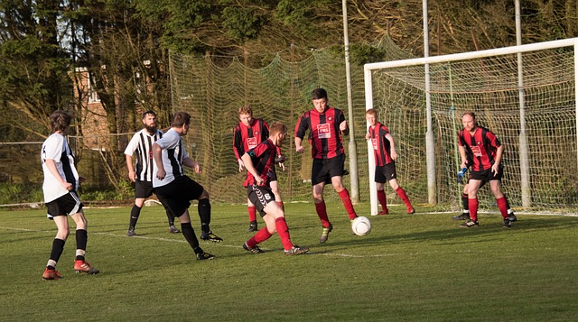 不断提升自 不断提升自