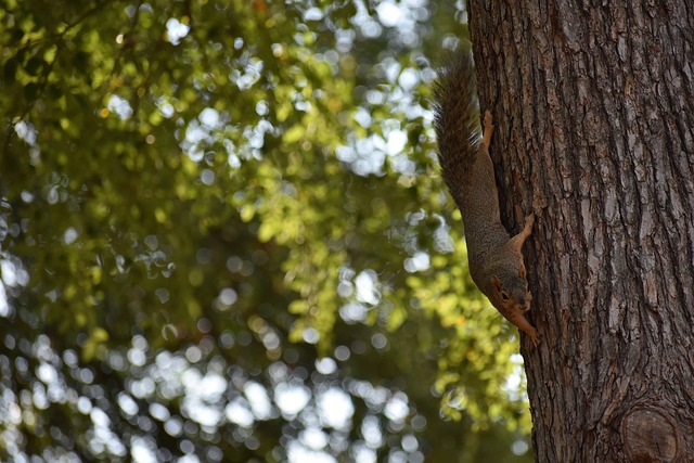 龙队团结一 龙队团结一