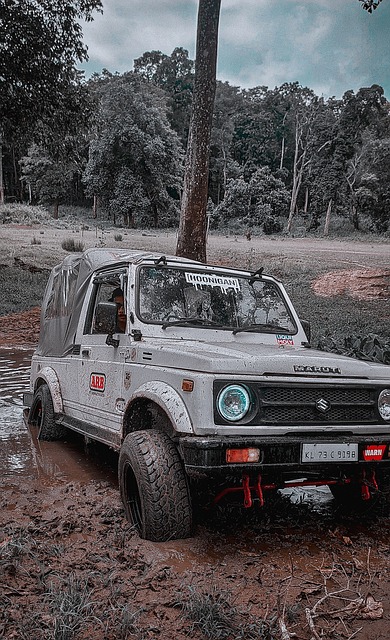 所贡献的几 所贡献的几