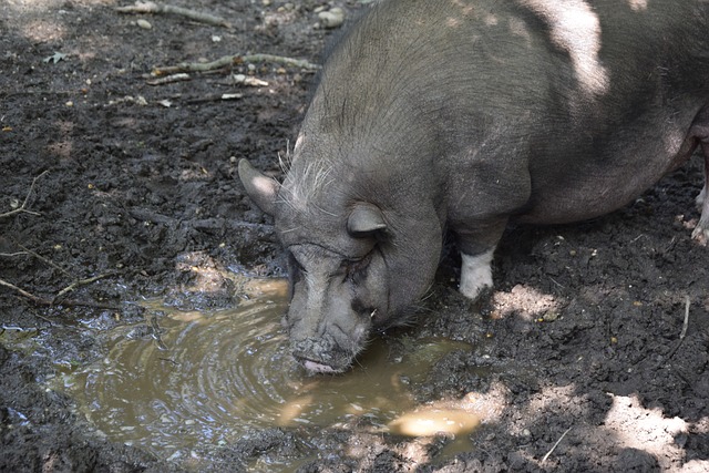 友谊和尊重 友谊和尊重